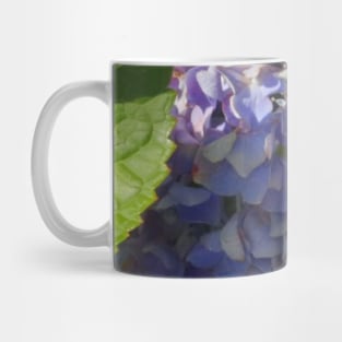 Beautiful photograph of violet hydrangea flowers Mug